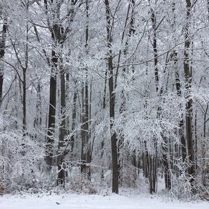 Meet your Posher, Maeve